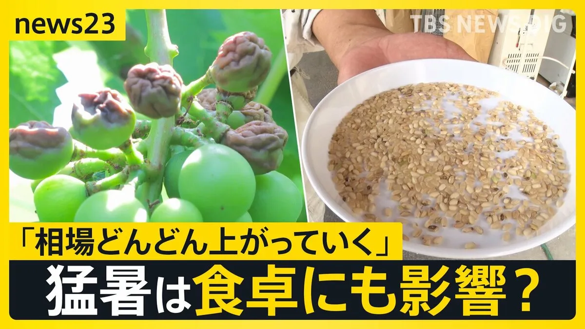 果物・野菜・コメに異変…列島襲う連日の“猛暑”は食卓にも影響？都内では熱中症疑いで100人搬送【news23】