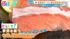 安くて新鮮な『国産サーモン』が世界を狙う！“海なし”でも養殖！？世界進出のカギは【ひるおび】