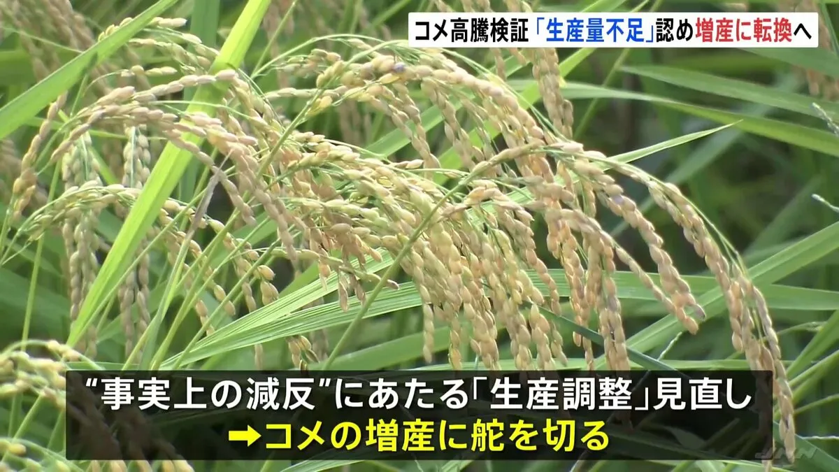 「コメ生産量に不足があった」認める方針 増産に転換へ　高騰要因きょう夕方に検証結果を公表へ