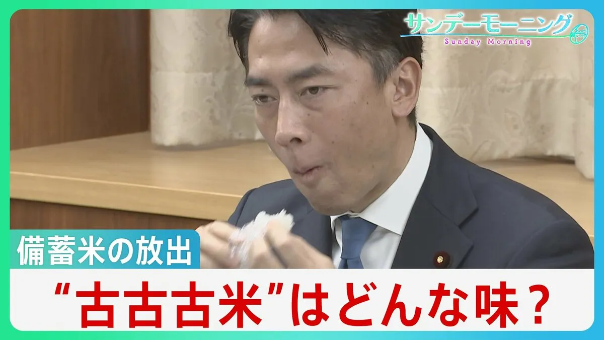 小泉農水大臣も実食「ちょっと硬いかな」 古古古米はどんな味？　“令和のコメ騒動”異例の放出は吉と出るか【サンデーモーニング】