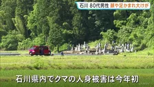 助け呼ぶ声、「クマが覆いかぶさっていた」80代男性が顔や足など大けが　石川・小松市岩渕町　クマは山へ逃走