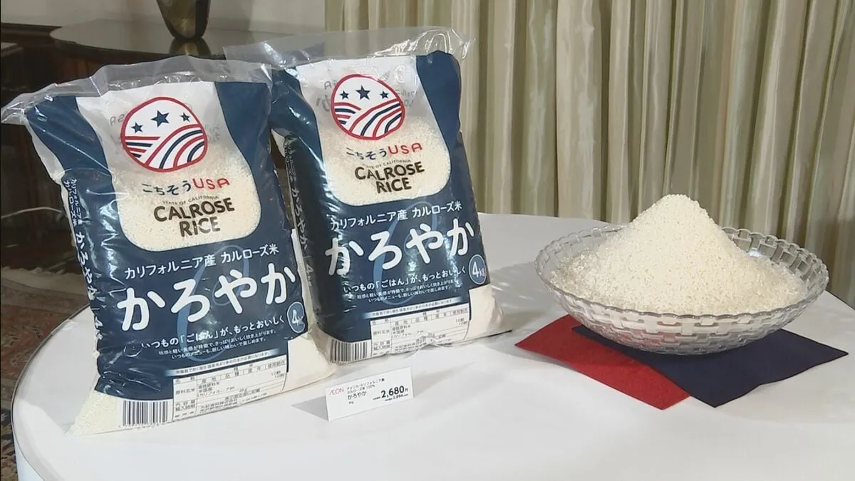 イオン、アメリカ産100％「輸入米」を初めて販売へ　コメ不足に対応して