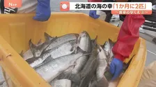 「仕入れ価格が2倍ぐらいに」北海道で獲れる食材に変化　海の幸カラフトマス「1か月に2匹」…温暖化をチャンスにサツマイモ栽培の新たな挑戦