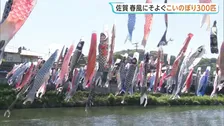 優雅に泳ぐこいのぼり300匹 春の風物詩「川上峡春祭り」 佐賀