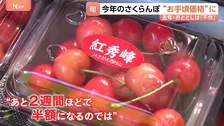 さくらんぼ今年は“お手頃価格”に　去年・おととしは「不作」 スーパーでは来月に「半額ぐらいになるのでは」