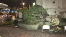 “逆走”台風15号　茨城で3人けが　各地で倒木や足場崩落も