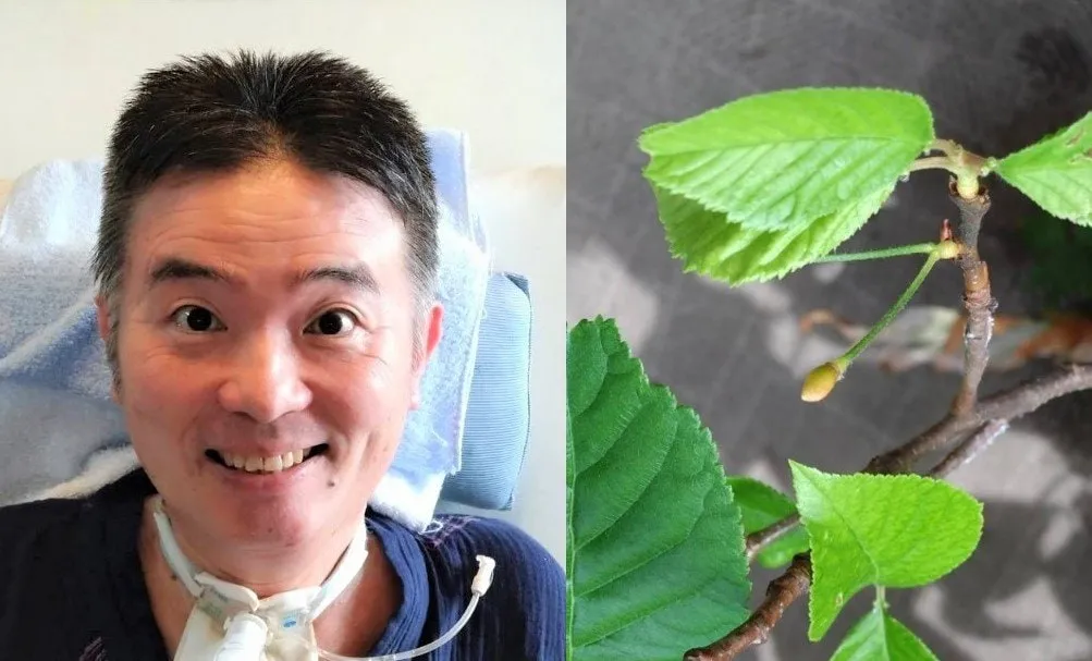 【ニャンちゅう】声優・津久井教生さん　「新たなサクランボの実にエネルギーを感じています♪」「生きようとする力は素敵です♡　私もそうありたいと思っています♪」　【ＡＬＳ闘病】