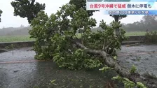 【台風9号】沖縄で猛威 宮古島で最大瞬間風速42.7m　停電や倒木の被害も　一方で列島各地は危険な暑さに 福岡・太宰府市では今年全国で最も暑い39.3℃観測