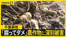 【台風18号】週末に「非常に強い勢力」に発達へ　千葉豪雨の被災地では断水解消…“水没車”撤去も農作物への被害が深刻【news23】