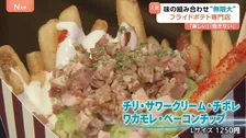 味の組み合わせ“無限大” ボリューム“規格外”でサイドからメインに！？「フライドポテト専門店」増加のワケ