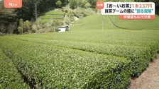 “ペットボトルのお茶” 来月値上げ 「お～いお茶」237円に　主な要因は容器代や燃料費の高騰も…世界的な抹茶ブームの陰に弱る現場