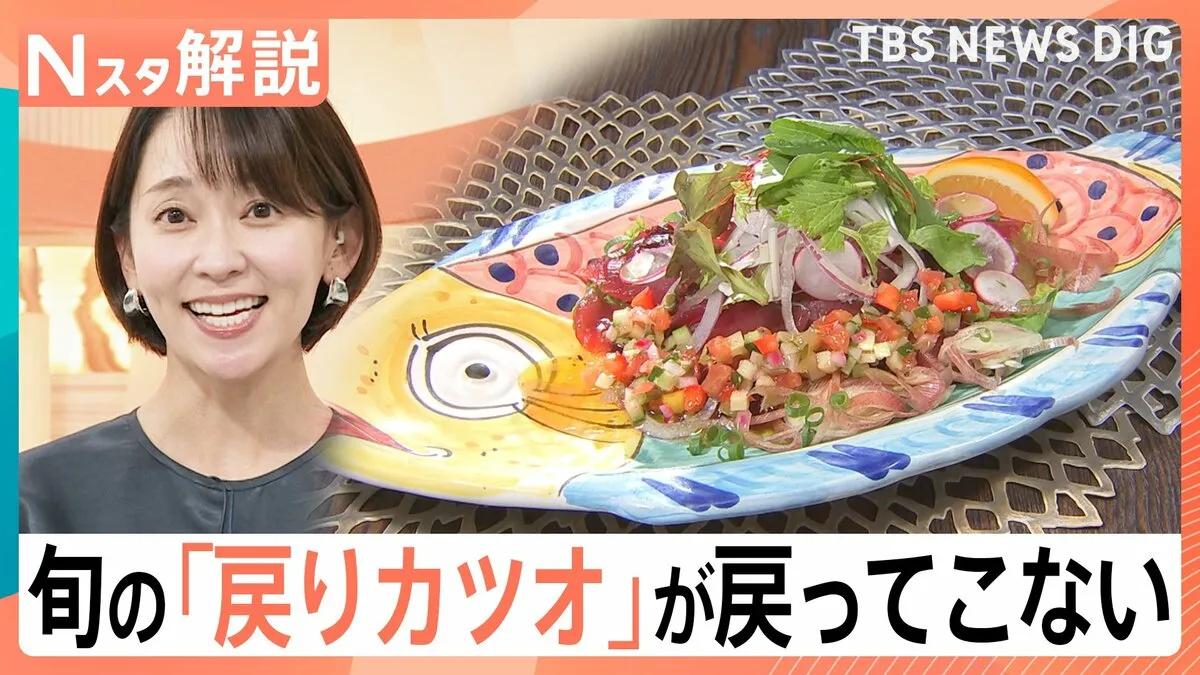 今が旬「戻りカツオ」が戻ってこない…？！一方でクロマグロやマイワシは漁獲増のワケ【Nスタ解説】