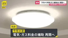 電気・ガス料金の補助　政府が再開検討 7月～9月までの使用分対象の方向
