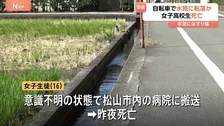 自転車の女子高校生が水路に転落か　病院で死亡　水路は深さ約90センチで柵など無し　愛媛・松前町