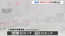 「家から出られないかと思った」日本海側中心に大雪　新潟では24時間に最大80センチの降雪予想　警戒呼びかけ