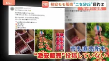 「旬のモモが12個で800円」SNSに“激安販売”投稿相次ぐ　農家や直売所になりすます“悪質行為”132万円だまし取られる詐欺被害も