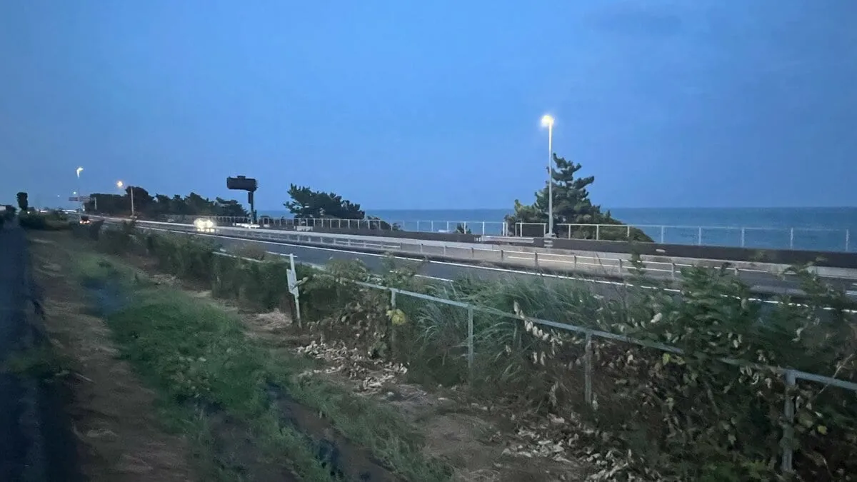「高速道路を子どもが歩いている」11歳男児　自動車専用道路で乗用車にひかれ顔と足の骨を折るけが　警察　男子が道路に入った経緯など調べる　神奈川・小田原市