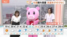 【5月19日 関東の天気】晴れもあすまで 週後半は傘必須