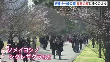 皇居･乾通り｢春の一般公開｣スタート 約100本の桜が並び、晴天のもと観光客らでにぎわう　3月29日まで開催