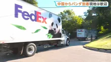 ジャイアントパンダ2頭「平平」「福双」が米アトランタに到着 中国から10年間貸与予定「お互いにとって良いこと」