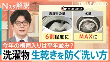 今年の「梅雨入り」は平年並み？ 生乾きを防ぐには「洗い方」も重要、洗濯物のどこに風を当てると早く乾く？【Nスタ解説】