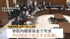 【速報】国旗損壊罪法案が参・内閣委で可決 国民民主党と参政党も賛成