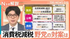 食料品の消費税減税と給付、肝心の中身はなぜ“未定”か？野党との水面下の駆け引きと財源の壁【Nスタ解説】