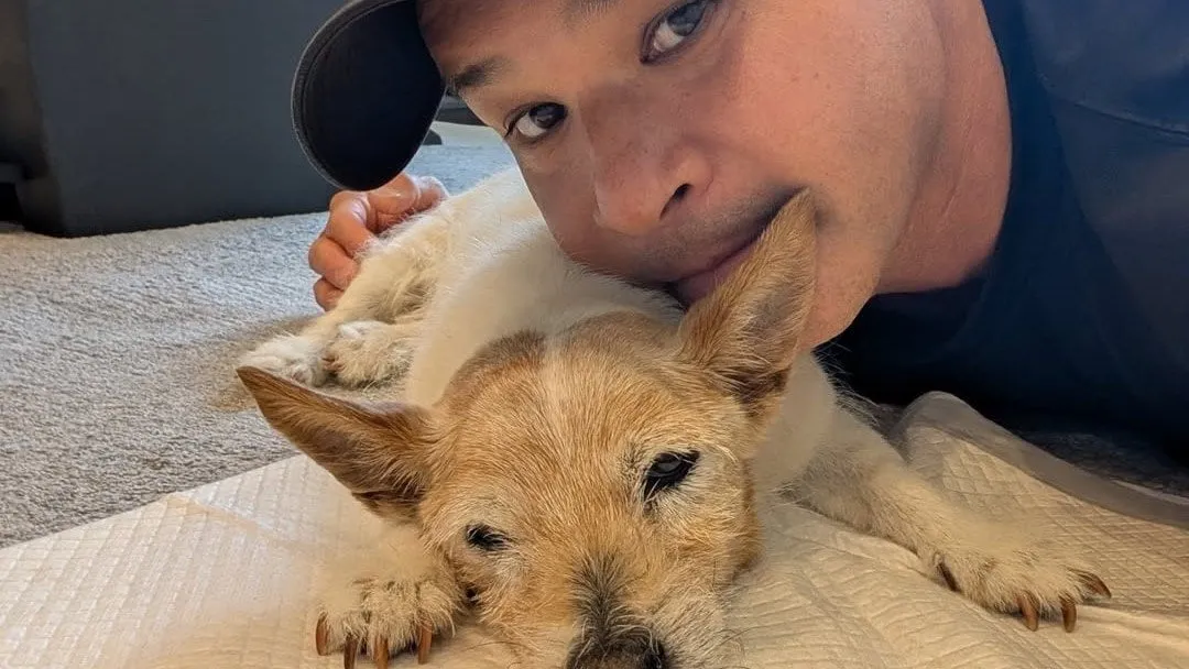 【照英】愛犬テン19歳 “おしっこしたくなったら歩き出す” 　老犬介護の日々を送る　フォロワーも応援