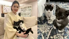 【 ねこ 】藤あや子さん　10日に愛猫の〝ウチの子記念日〟　7年前の仔猫姿にフォロワー共感＆愛猫写真投げ合い渋滞