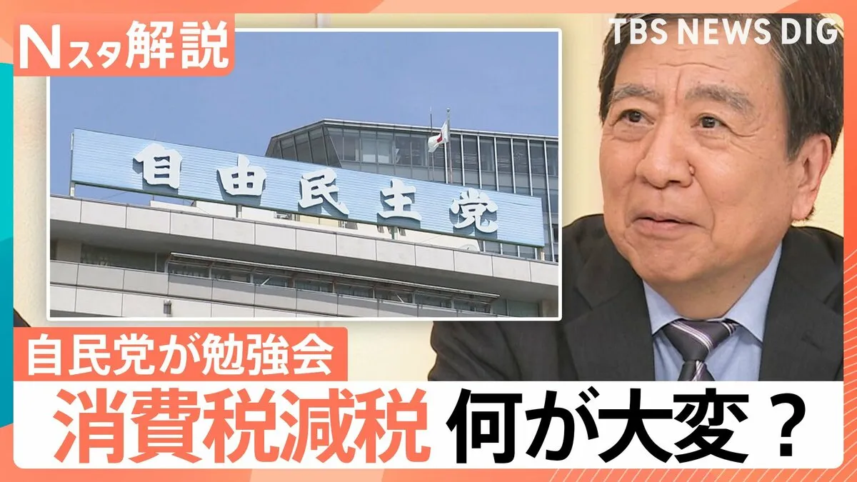 「実務的にも財政的にも大変厳しい問題」“消費減税”自民党で勉強会、参院選の争点の1つ【Nスタ解説】