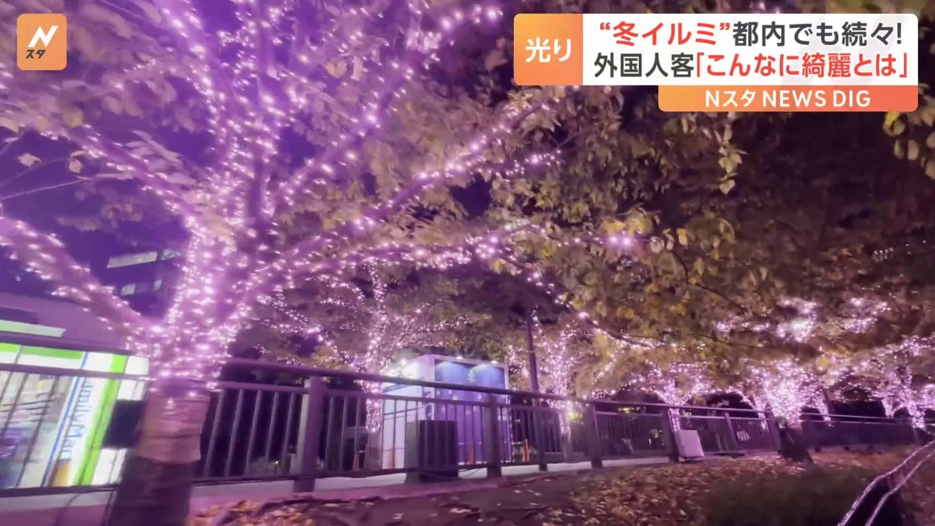 光と音の幻想空間に“冬の夜桜”も　都内で続々！冬のイルミネーション始まる