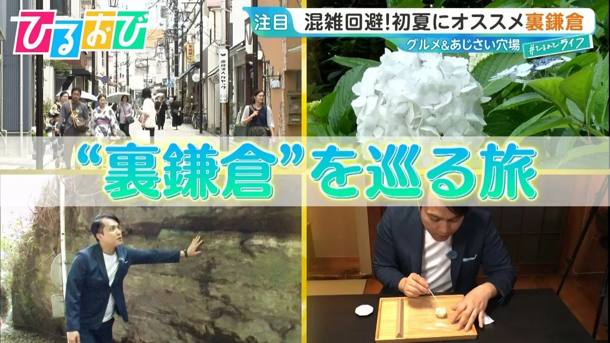 混雑回避！初夏にオススメ“裏”鎌倉　あじさいの穴場スポットも【ひるおび】