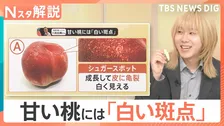 「桃」をおいしく楽しむヒント！面倒な“皮むき”はこすって簡単・キレイに♪ 食べ頃や甘さの目印は？【Nスタ解説】