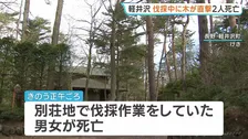 長野・軽井沢町の別荘地　伐採作業をしていた男女2人が死亡　ロープで下ろそうとした木が地上にいた2人に当たる
