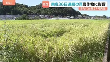 新たに台風27号が発生　関東日差し戻るも、東京都心では“36日連続の雨”に　コメなどの農作物にも影響　来週はじめに小笠原諸島に近づくおそれ