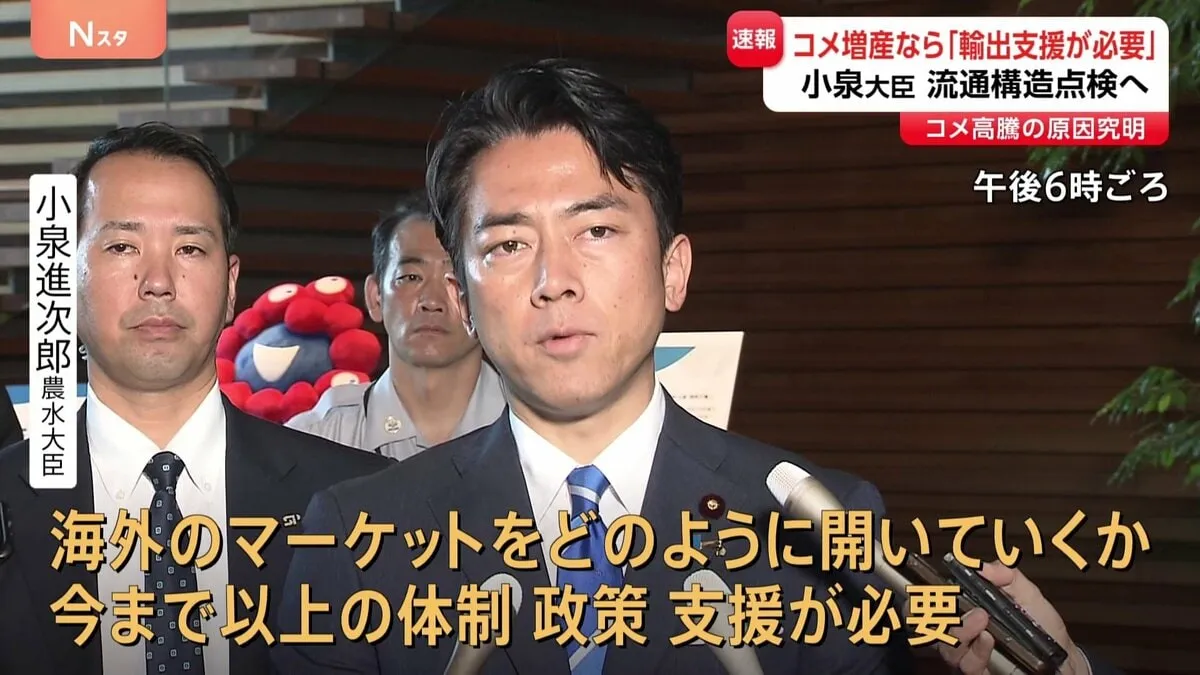 小泉大臣“コメ増産なら輸出支援を強化” コメ高騰の“要因”流通構造を点検へ「今までの流通のすべてを一回総ざらい」