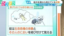 「蚊」は叩いた人のニオイを24時間記憶！？蚊が入りにくい“窓の開け方”は？今年は“当たり年” 多い＆しつこい蚊の対策を研究者に聞く【ひるおび】