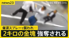 路上で揉み合い金塊2キロ強奪…防犯カメラが捉えた緊迫の瞬間　八王子の貸金庫では現金4億円が盗まれる【news23】