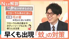 「ぷ～ん」まだ5月なのに…かゆい！早くも出現「蚊」に注意、刺されないために【Nスタ解説】