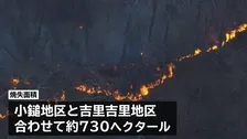 岩手・大槌町の山林火災　発生4日目のきょうはヘリによる放水や1000人規模で地上から消火活動