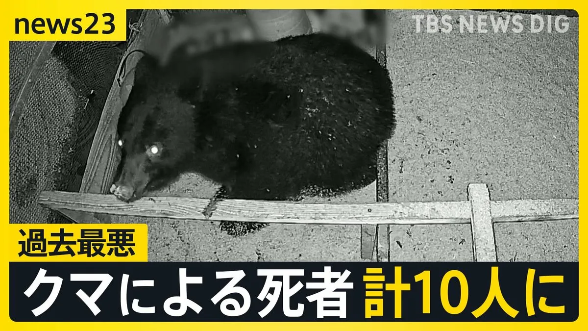 秋田 クマに襲われている70代の夫婦を助けに来た30代の男性が死亡 クマによる死者“過去最悪”10人に【news23】