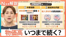3年ぶり“4500品目超”の値上げラッシュに　深刻な物価高いつまで続く【Nスタ解説】