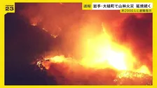 「おとといも津波で避難したのに…」岩手・大槌町で山林火災…約2000人に避難指示　発生から約9時間後も延焼中【news23】