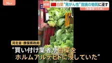 中国で買い付け業者が白菜をホルムアルデヒドに浸す 「鮮度を保つことを目的とした違法行為」インターネット上の告発を受け調査