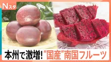 パッションフルーツにパパイヤ…千葉や埼玉で南国フルーツが急増　ドラゴンフルーツは「皮」も絶品【Nスタ】