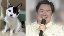 【 やす子 】保護猫2匹目「ツキ」を紹介　「実は千葉に移住して保護猫9匹飼ってました！」　前回は1匹目の「ハッピー」を紹介