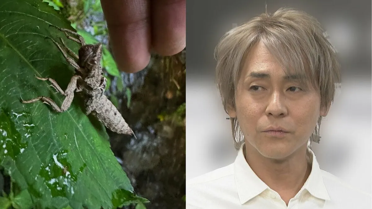 【 ヒロシ 】「ヤゴの抜け殻じゃないか！」瑞々しい葉の上からお知らせ　フォロワー注目「涼しげな清流のお届け嬉しい！」「武運が良さげ」