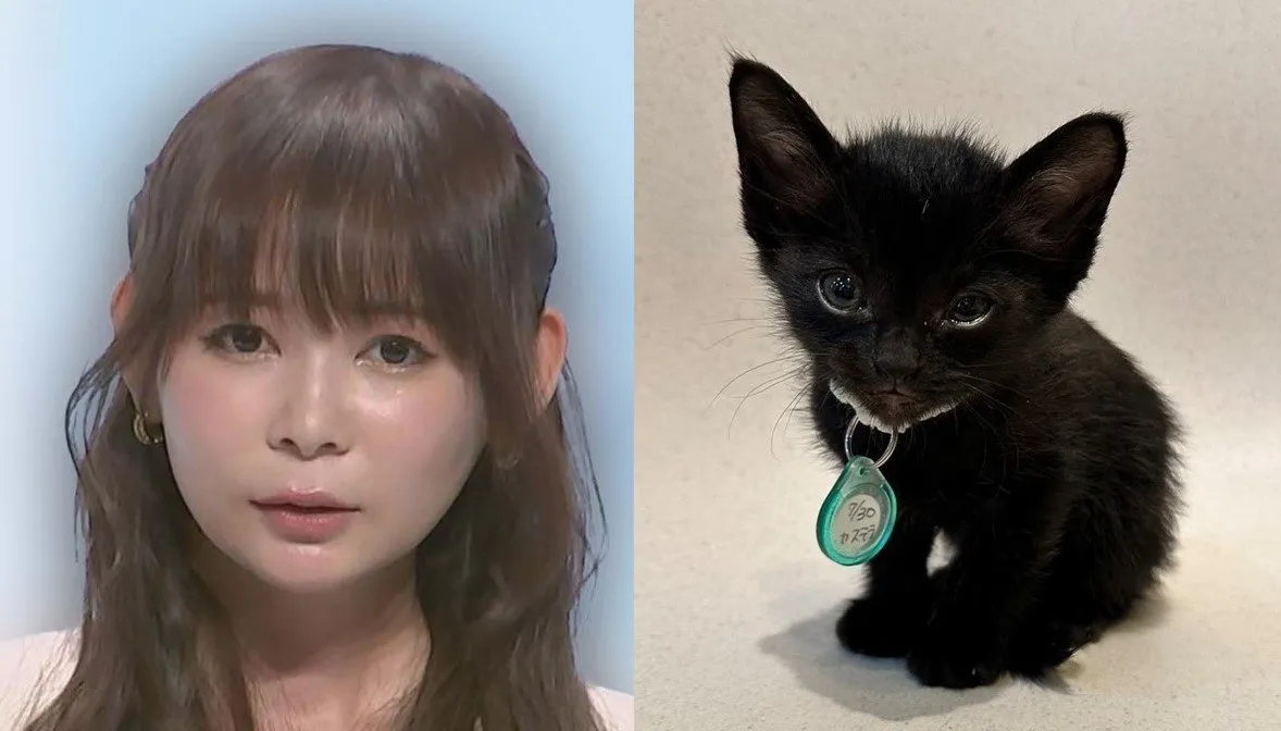 【中川翔子】　天国の愛猫【カステラ】へ思い　「夢を見ました　生き返って子猫からやり直す夢」「唯一無二の天使だった」「健康な身体を持ってまた生まれ変わって出会ってほしい」