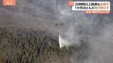 群馬・藤岡市の山林火災　30時間経過も延焼中　47ヘクタールに被害拡大　この1か月ほとんど雨降らず“林野火災注意報”