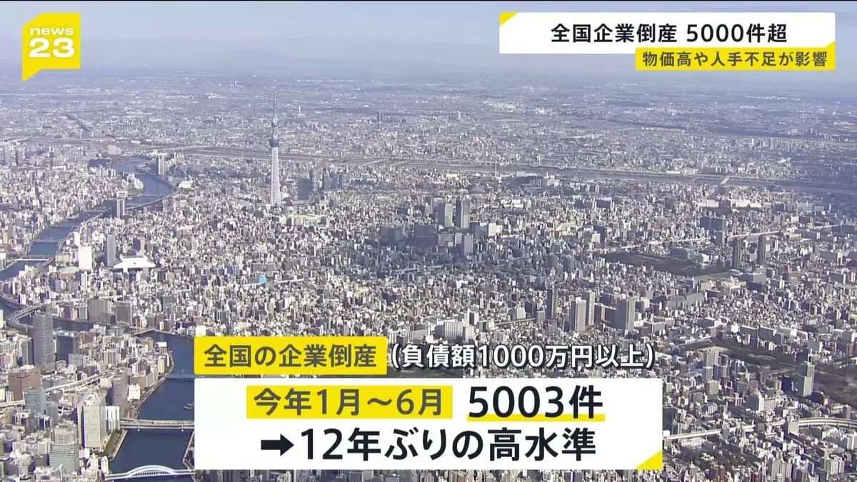 全国の企業倒産は5003件 3年連続前年を上回る 建設業の倒産過去10年で最多の986件 資材価格高騰や後継者不足などで